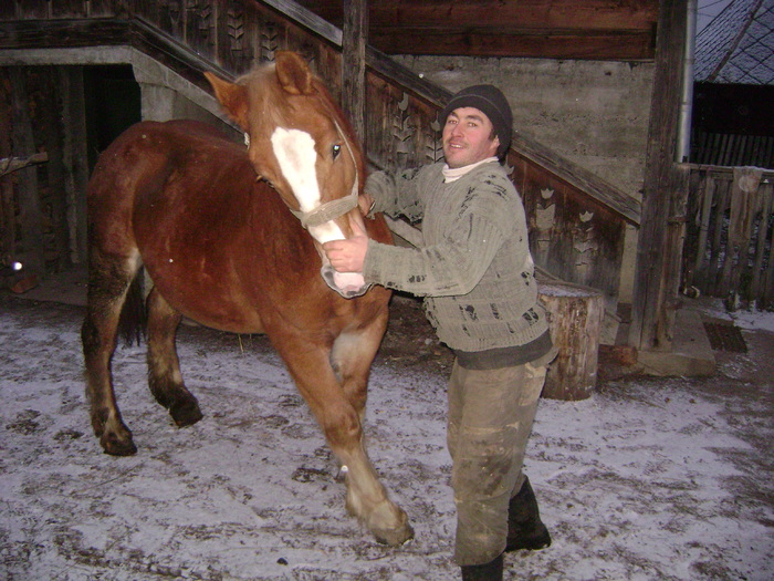 DSC00924 - Manzul Boicu din Maramures -Calinesti