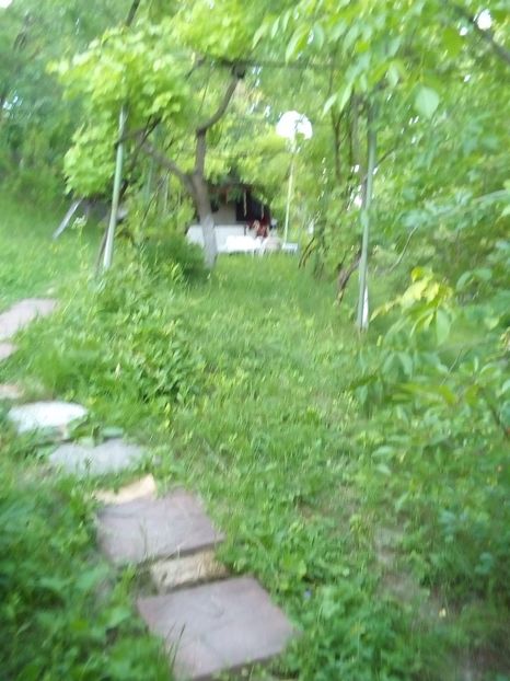 2078181c-f93c-4bf7-b0c3-97c069306acb - 2022 mai 11 Inceput de vacanță la grădina!