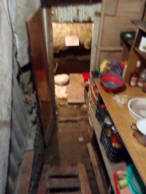 bf54c337-477c-4c95-80a9-d0e818d57ad0 - 2022 mai 11 Inceput de vacanță la grădina!