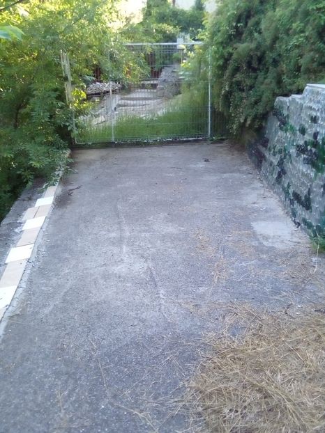 ce014f3e-2446-4f32-a5e2-0b3ddd51791b - 2022 mai 11 Inceput de vacanță la grădina!