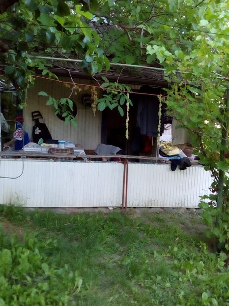 e30d7f25-fb9c-49f9-b6a5-620b4e000f05 - 2022 mai 11 Inceput de vacanță la grădina!