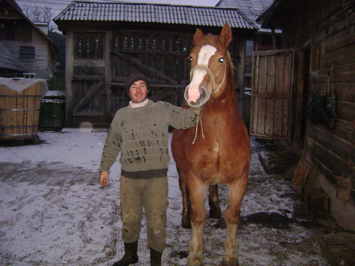 DSC00922 - Manzul Boicu din Maramures -Calinesti