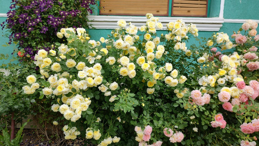 11 06 2022 - The Pilgrim