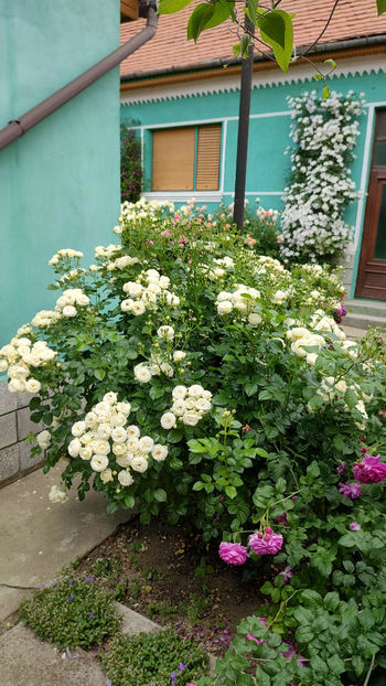 01 06 2022 - Artemis