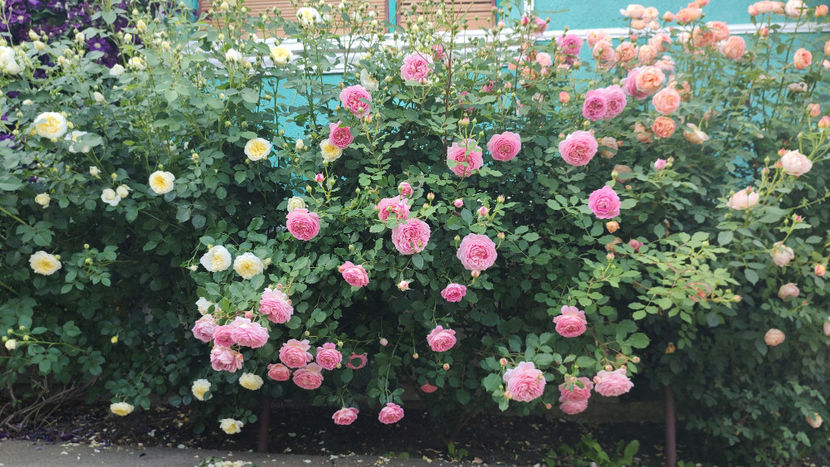 03 06 2022 - Jubilee Celebration