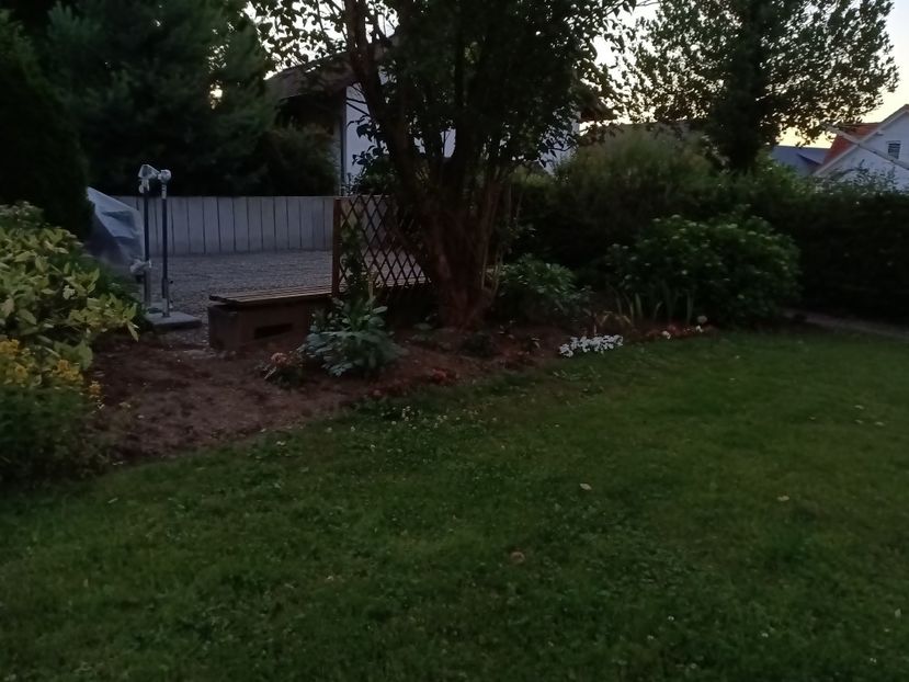 IMG20220610214345 - Grădina mea