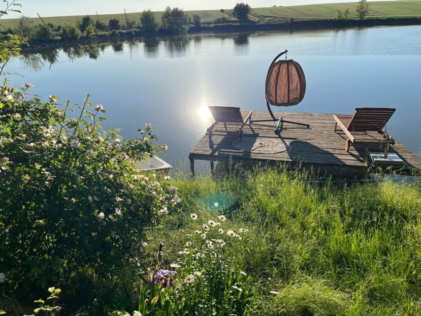 82157EEE-8610-4DA4-8094-87581F203BDC - Flori la balta 2022