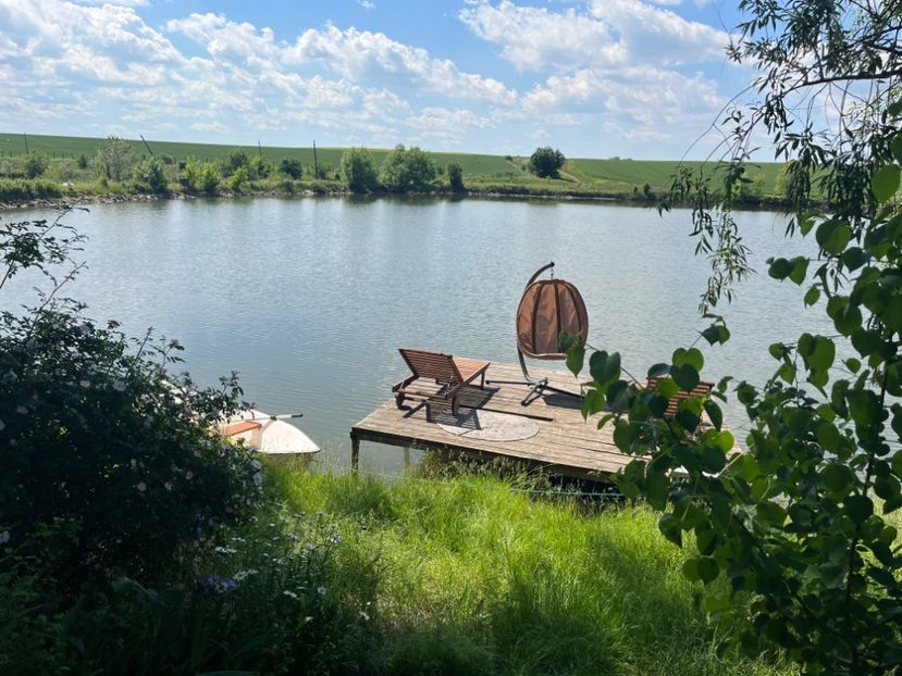 54143F5F-FD8C-4D8E-9399-BD3190F6DB03 - Flori la balta 2022