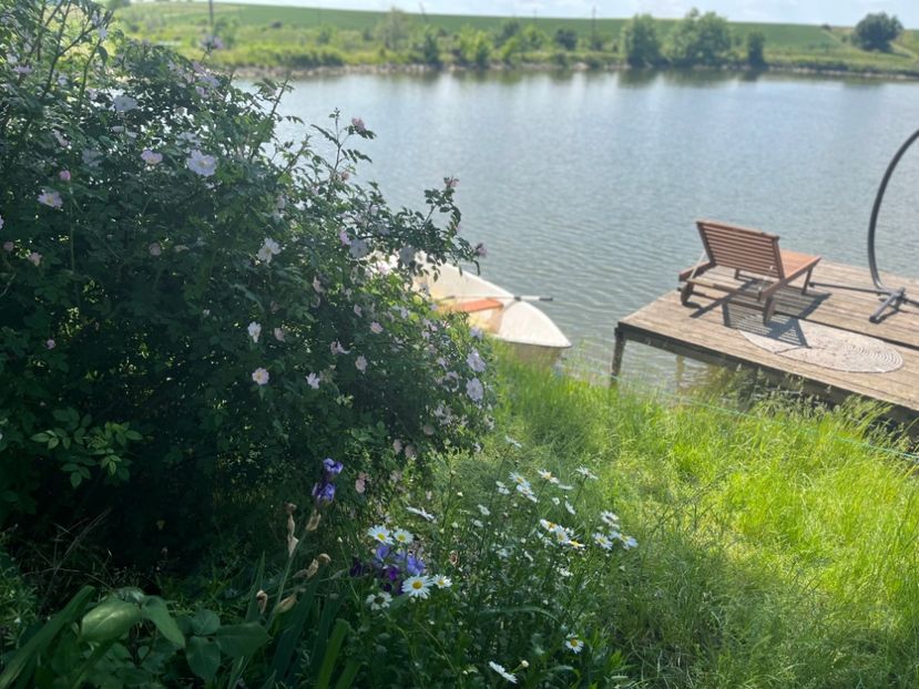 1CA7B468-6EBA-46E9-9733-508CE61000CE - Flori la balta 2022