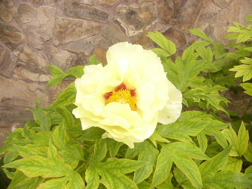 P1390045 - ANUL 2022