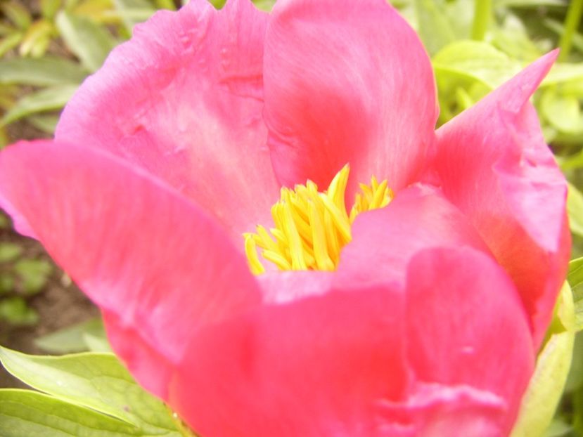 P1390097 - ANUL 2022