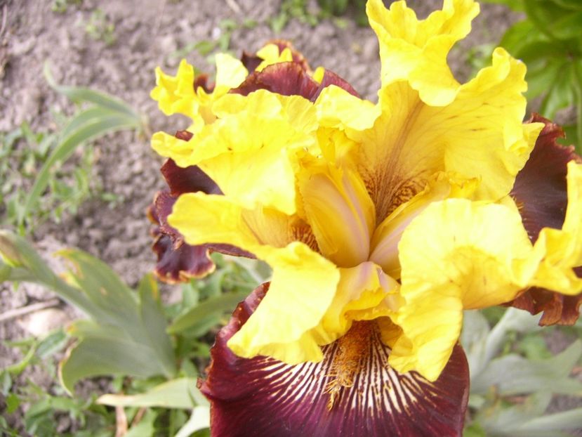 P1390173 - ANUL 2022