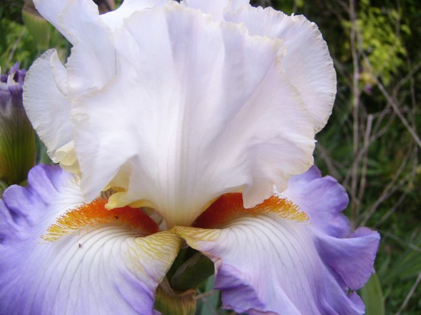 P1390270 - ANUL 2022