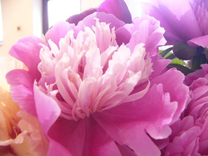 P1390295 - ANUL 2022