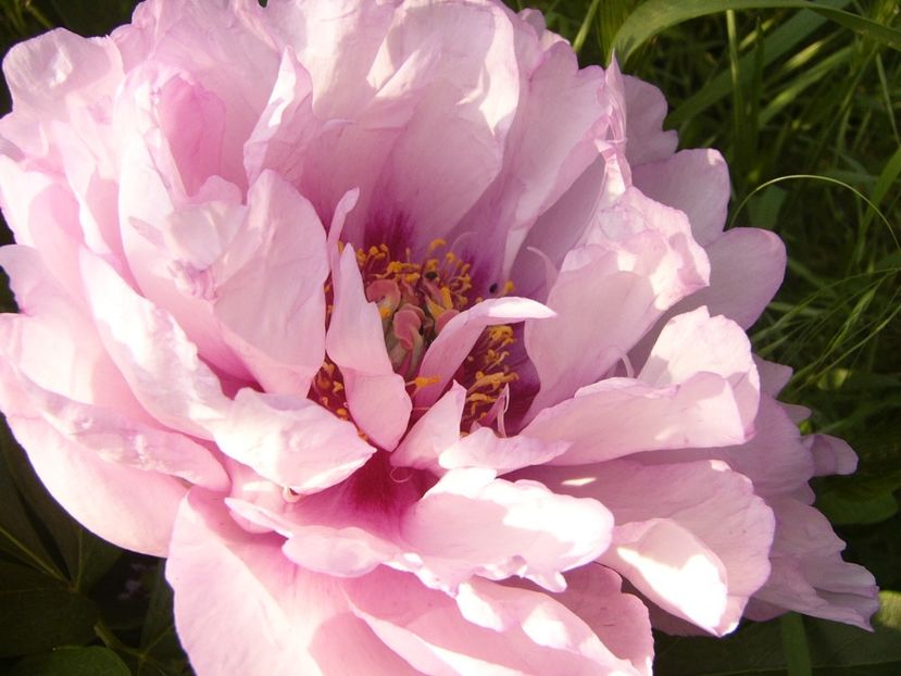 P1390318 - ANUL 2022