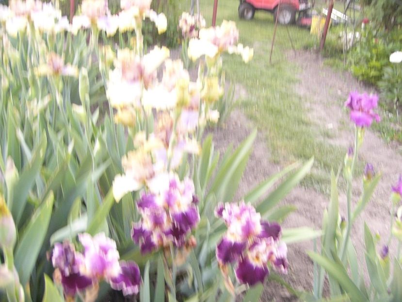 P1390363 - ANUL 2022