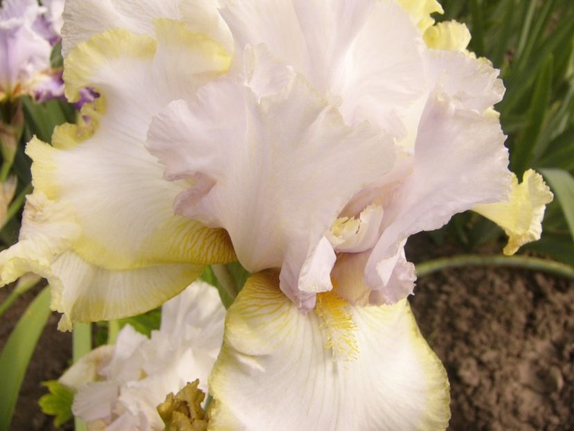 P1390473 - ANUL 2022 II