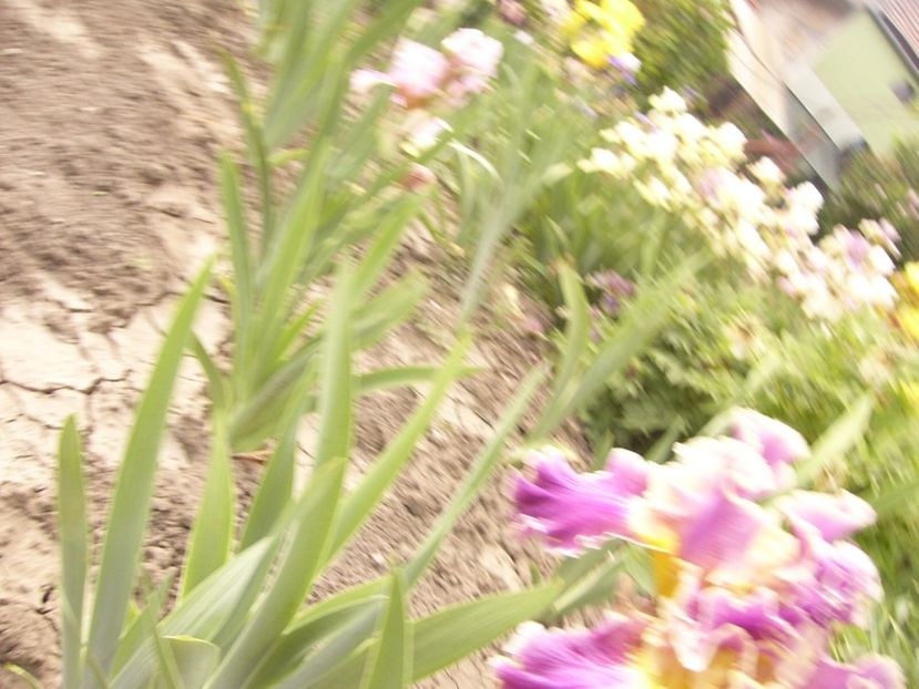 P1390476 - ANUL 2022 II