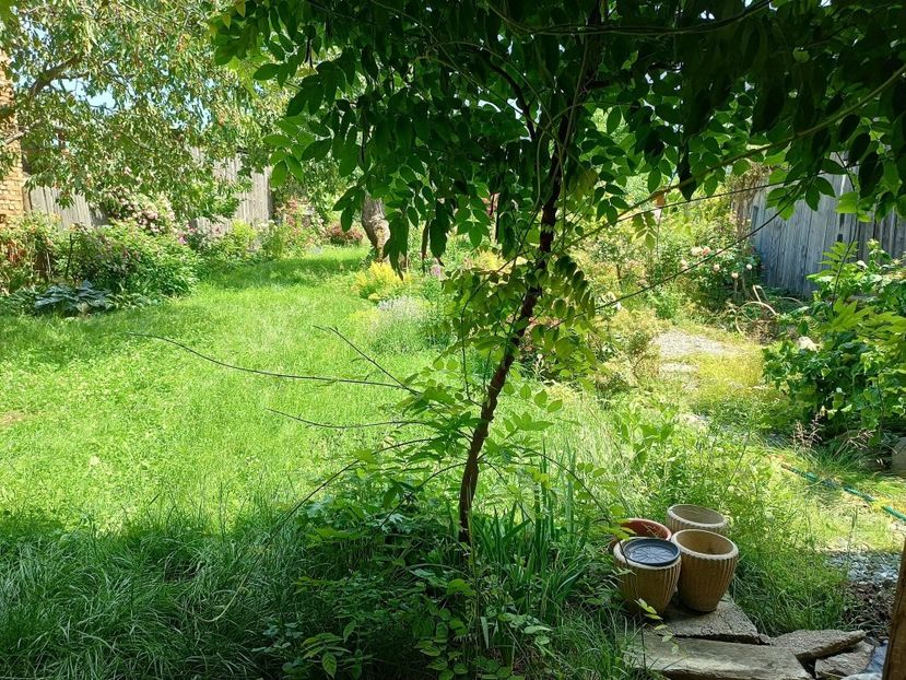 Asteapta foarfeca - gradina