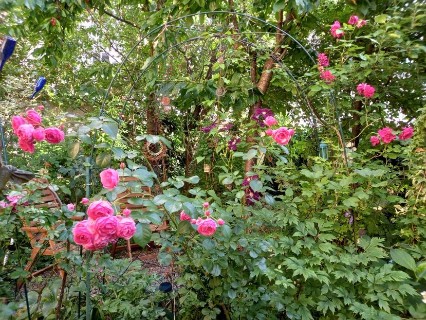  - Grădina 2022 continuare 2