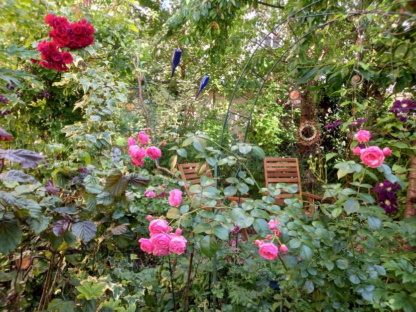  - Grădina 2022 continuare 2