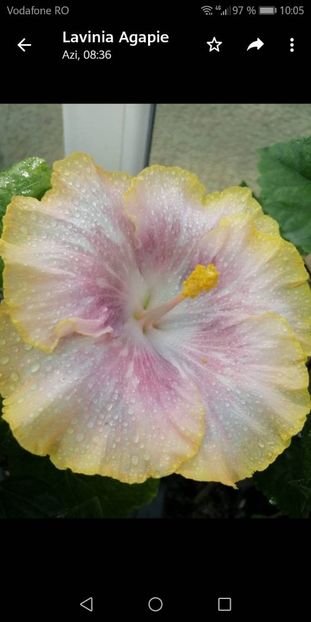 Screenshot_20210606-100510 - HD 409