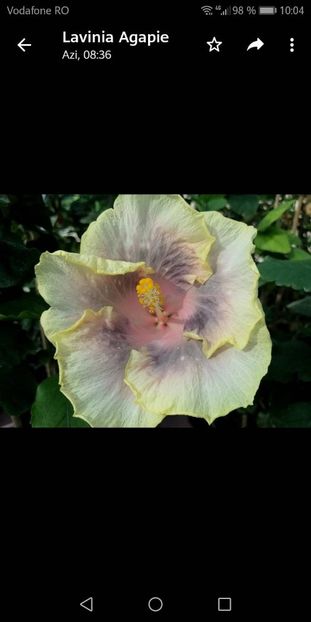 Screenshot_20210606-100440 - HD 409