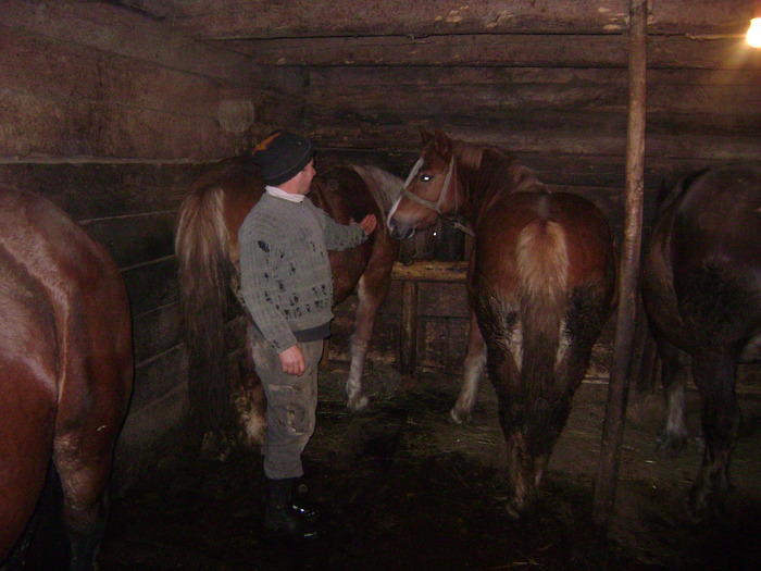 DSC00921 - Semigreii lui Dunca din Maramures  Calinesti