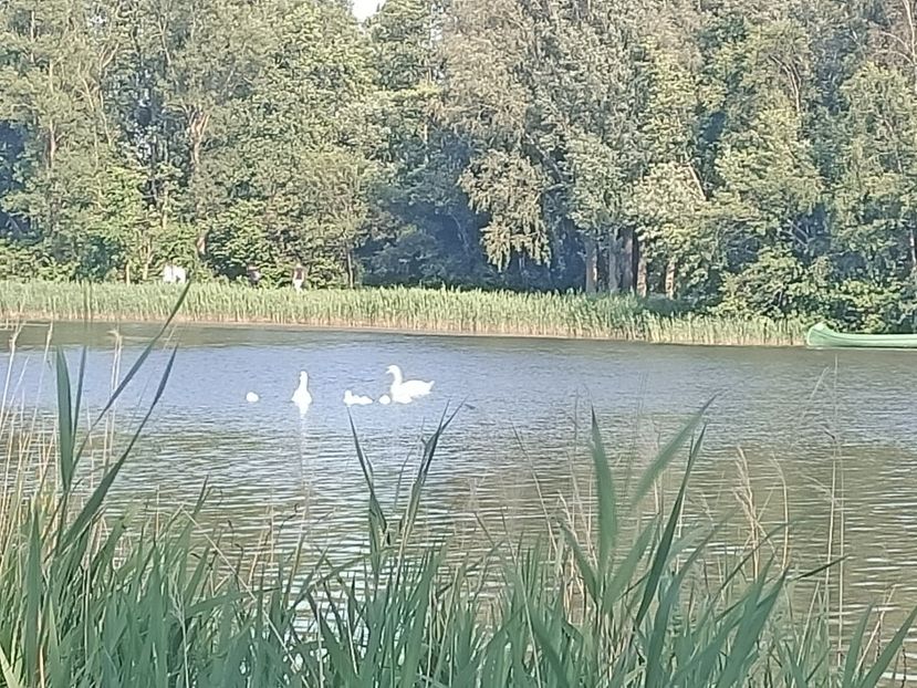 Img.2022.06.12 - Otterndorf