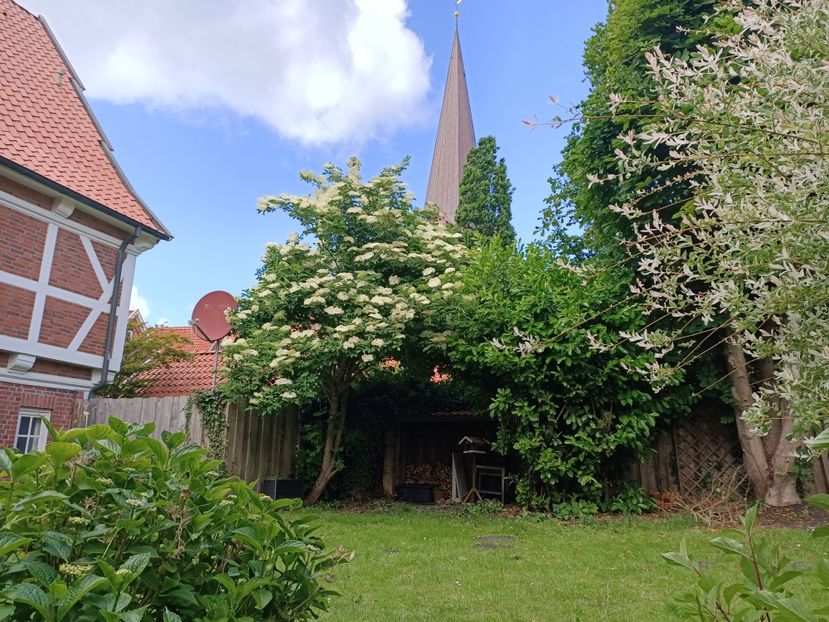 Img.2022.06.13 - Otterndorf