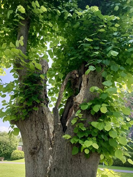 Img.2022.06.15 - Otterndorf