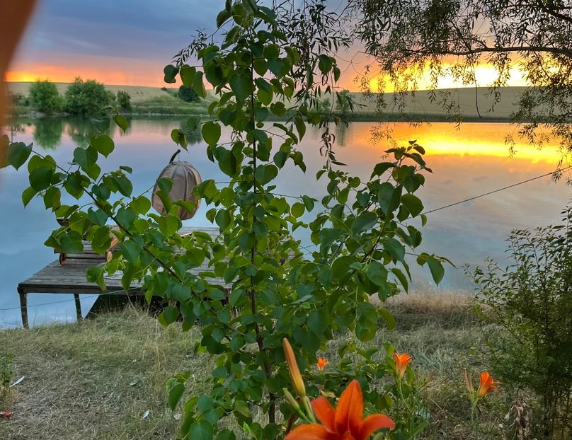 0F5005E9-33F7-4CAF-AA38-3EF1D1147AC9 - Apus  de soare