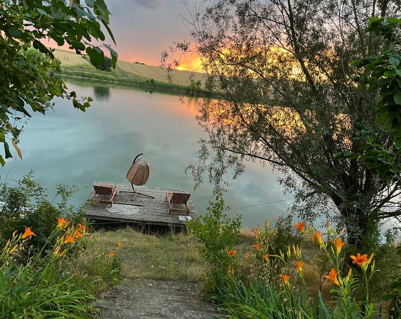 CFA077E1-A980-4783-AC68-913D889EEBB6 - Apus  de soare