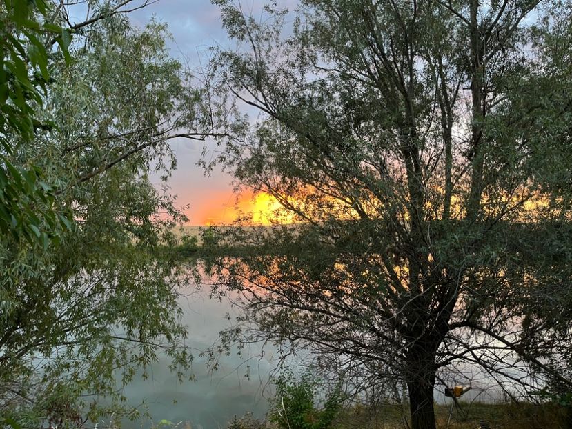 7CF6EA87-57CF-416A-9228-206C53584446 - Apus  de soare