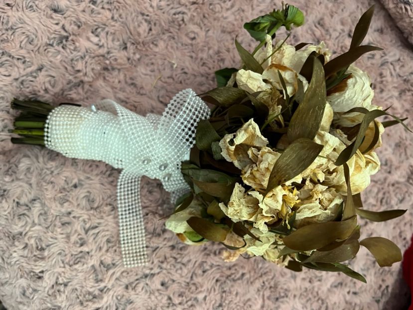 588106A3-2A83-4934-9C97-079C0358C2F8 - Aranjamente licheni și flori