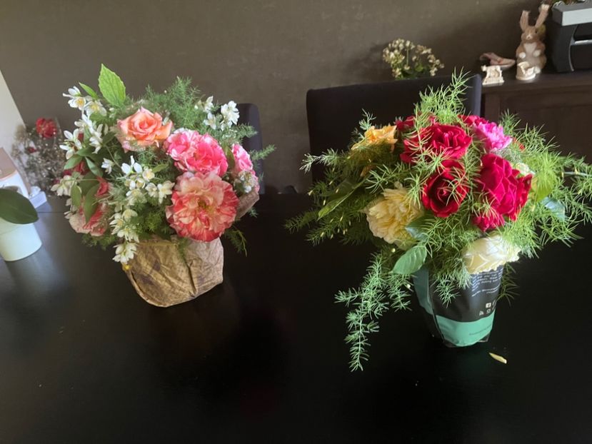 4361B647-3967-4944-B16E-1F4E71AD231E - Trandafiri 2022 3