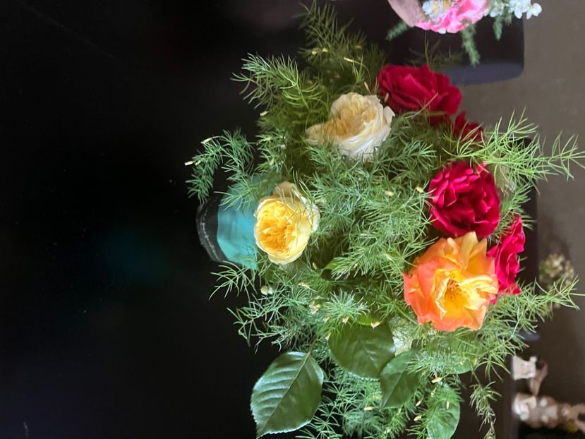 4DDE9AEC-B054-4D3C-9483-50313EB62A67 - Trandafiri 2022 3