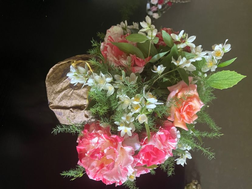 3344E351-4560-4149-AD63-C842A7667163 - Trandafiri 2022 3