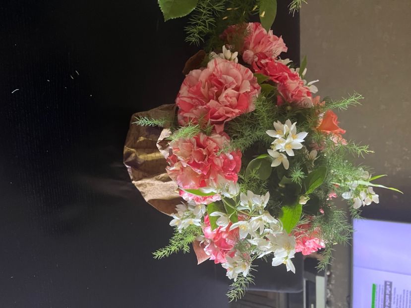 E939323A-63AC-4148-86D2-10C0492CF60E - Trandafiri 2022 3