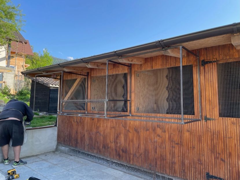 7062EDDD-E0FA-4D0C-929B-370C4A7C64E3 - 1 A new beginning