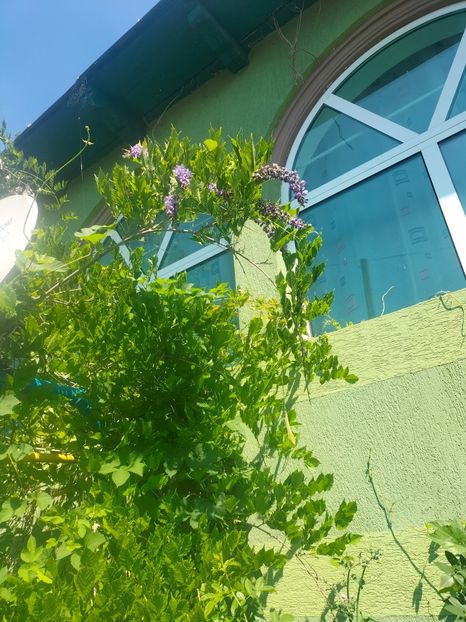 IMG20220620110219 - Iunie 2022 1