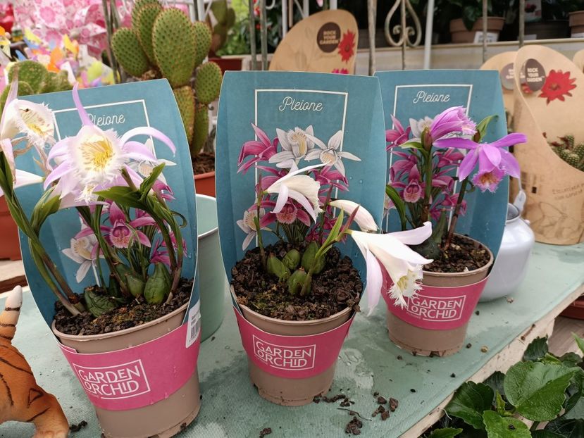 Img.2022.06.20 - Magazinul