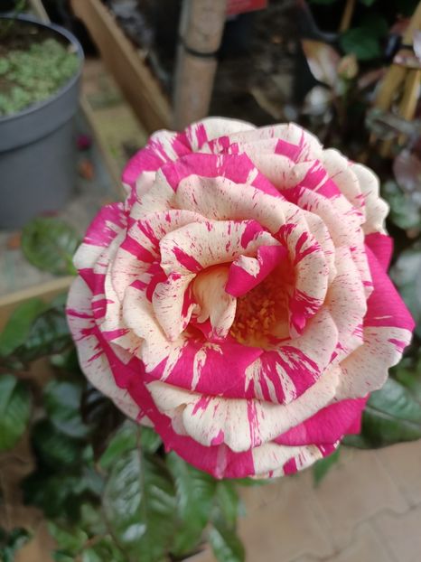 Img.2022.06.20 - Magazinul