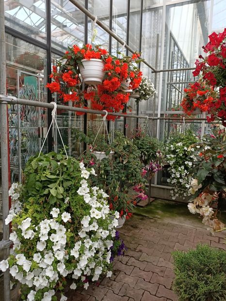 Img.2022.06.20 - Magazinul