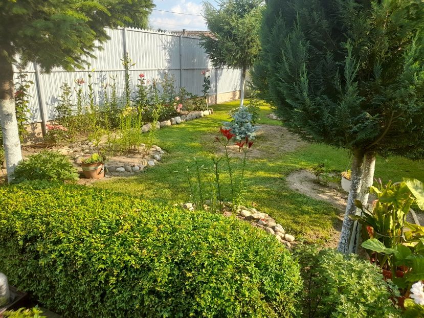 - 01 De prin curte si gradina