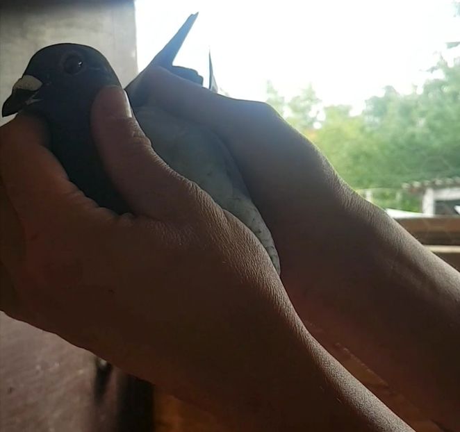 Screenshot_20220620-214817_Video Player - 2022