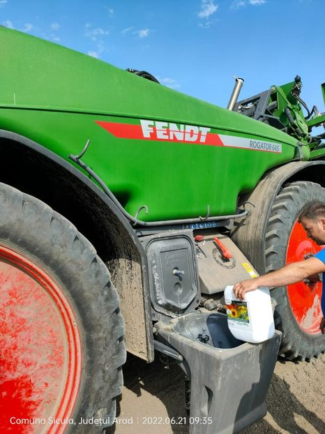 Poza 2 Soia Com Sicula AR 21.06.2022 - 21-06-2022