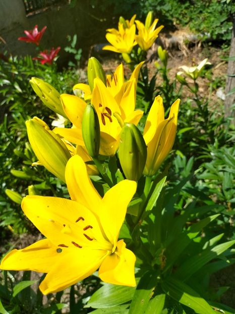 IMG20220621113402 - Iunie 2022 1