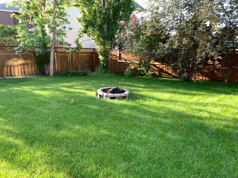  - Jurnalul gradinii 2022