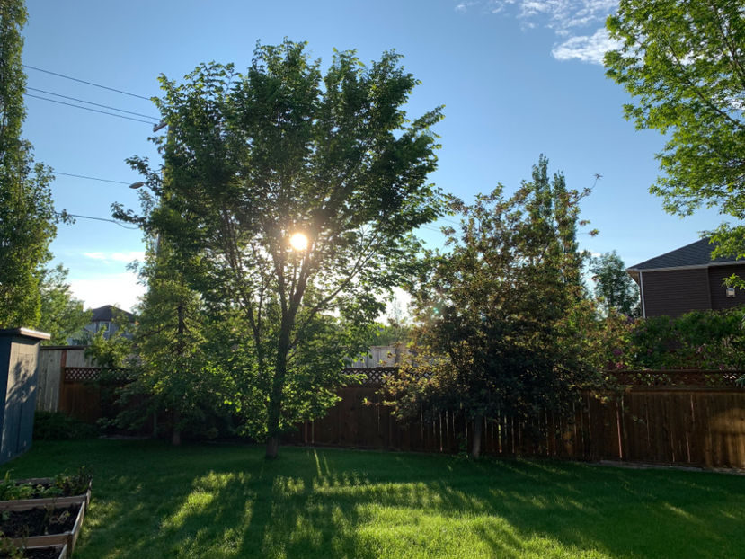  - Jurnalul gradinii 2022